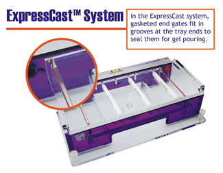 Gel Trays