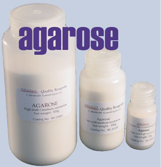 Agarose