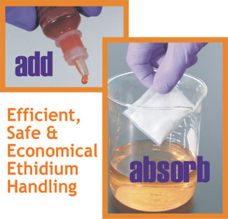 Ethidium Handling