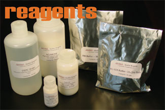 Bridge Reagents